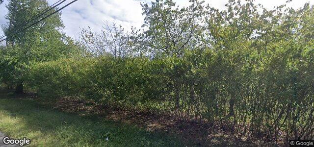 11 Willow Brook Road（加拿大曼尼托巴省温尼伯市）房屋照片