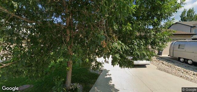 95 Chadwick Crescent（加拿大曼尼托巴省温尼伯市）房屋照片