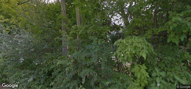 919 Nesbitt Bay（加拿大曼尼托巴省温尼伯市）房屋照片