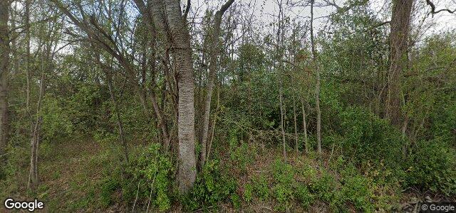 118 Kings Drive（加拿大曼尼托巴省温尼伯市）房屋照片