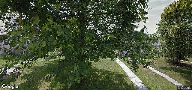 39 Hollyburn Road（加拿大曼尼托巴省温尼伯市）房屋照片