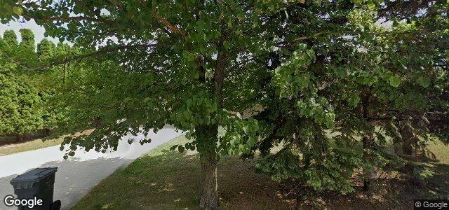 123 Belton Street（加拿大曼尼托巴省温尼伯市）房屋照片