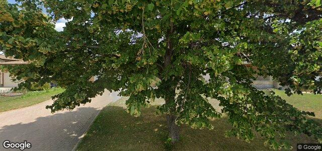 99 Belton Street（加拿大曼尼托巴省温尼伯市）房屋照片