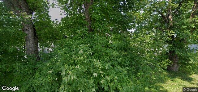 523 Whittier Avenue E（加拿大曼尼托巴省温尼伯市）房屋照片