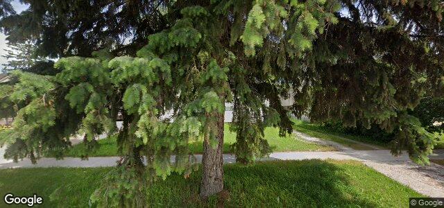 459 Greenacre Boulevard（加拿大曼尼托巴省温尼伯市）房屋照片