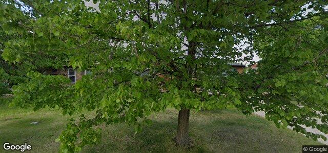 119 Foxmeadow Drive（加拿大曼尼托巴省温尼伯市）房屋照片