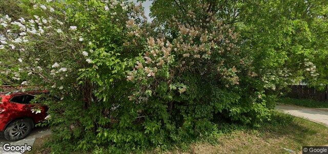 1055 Royse Avenue（加拿大曼尼托巴省温尼伯市）房屋照片