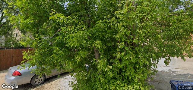 606 Mcmillan Avenue（加拿大曼尼托巴省温尼伯市）房屋照片