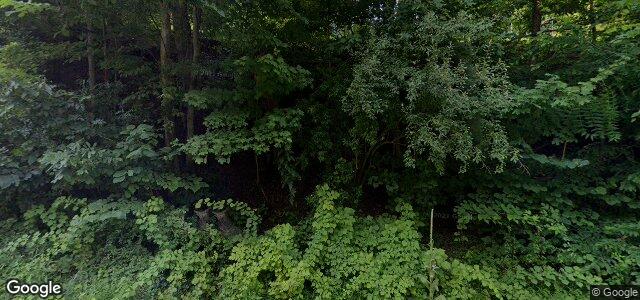 322 River Road（加拿大曼尼托巴省温尼伯市）房屋照片