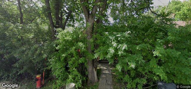 166 Manitoba Avenue（加拿大曼尼托巴省温尼伯市）房屋照片