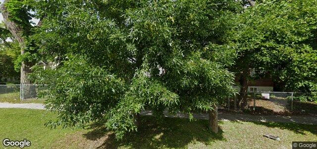 254 Austin Street N（加拿大曼尼托巴省温尼伯市）房屋照片