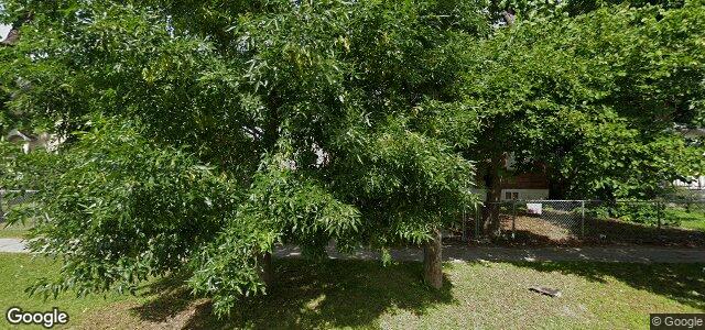 256 Austin Street N（加拿大曼尼托巴省温尼伯市）房屋照片