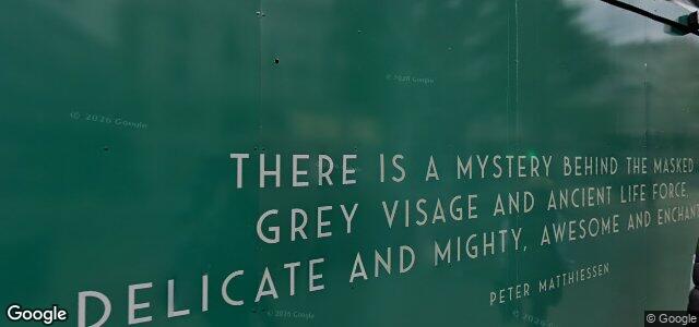 319 Oxford Street（加拿大曼尼托巴省温尼伯市）房屋照片