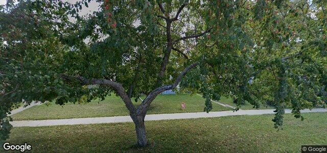 424 Horace Street（加拿大曼尼托巴省温尼伯市）房屋照片