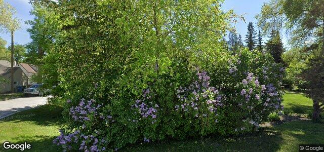 235 Lyndale Drive（加拿大曼尼托巴省温尼伯市）房屋照片