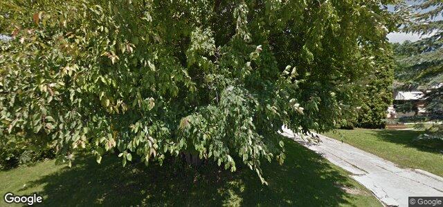 Photo of 11 Virden Crescent in Winnipeg, Manitoba