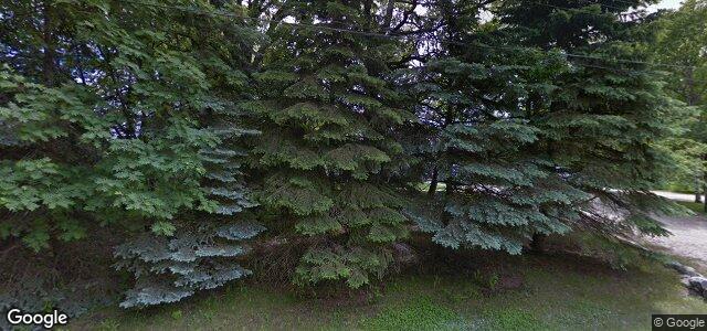 3 Bunn'S Grove（加拿大曼尼托巴省溫尼伯市）房屋照片