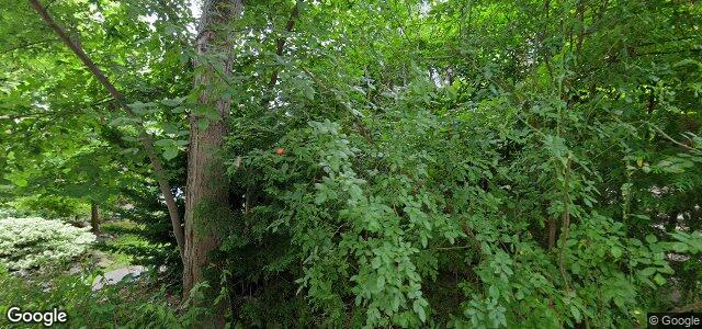 23 Lauder Avenue（加拿大曼尼托巴省温尼伯市）房屋照片