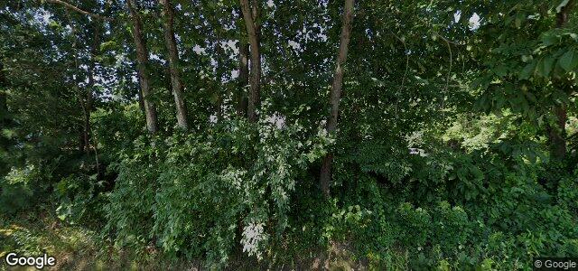 Photo of 248 Sutton Avenue in Winnipeg, Manitoba