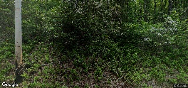 187 St Anthony Avenue（加拿大曼尼托巴省温尼伯市）房屋照片