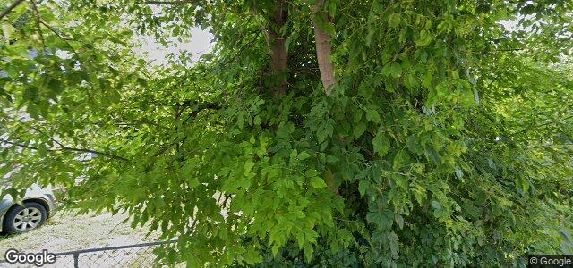 294 Scotia Street（加拿大曼尼托巴省温尼伯市）房屋照片