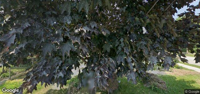 58 Mcadam Avenue（加拿大曼尼托巴省温尼伯市）房屋照片