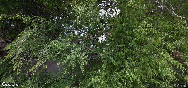 14 Rowand Avenue（加拿大曼尼托巴省温尼伯市）房屋照片