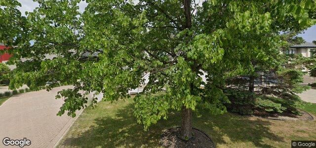 43 Dumbarton Boulevard（加拿大曼尼托巴省温尼伯市）房屋照片