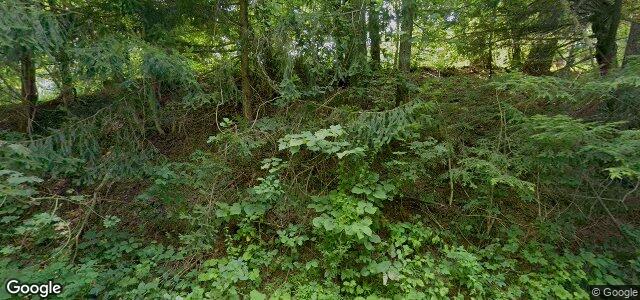 35 St George Road ਦੀ ਫੋਟੋ, ਵਿਨੀਪਿਗ, ਮੈਨੀਟੋਬਾ