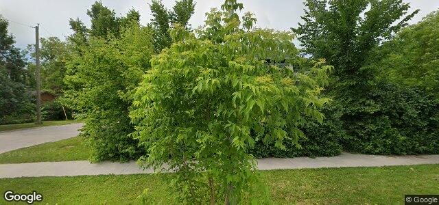 146 Machray Avenue（加拿大曼尼托巴省温尼伯市）房屋照片