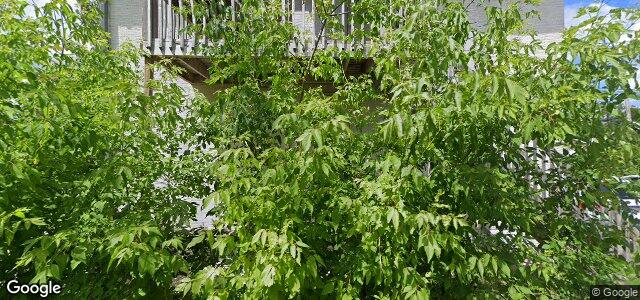 857 Bannatyne Avenue（加拿大曼尼托巴省温尼伯市）房屋照片