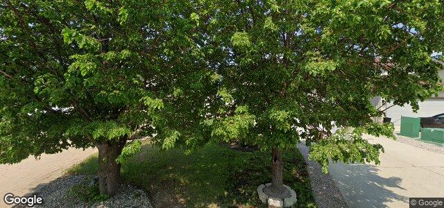 162 Vineland Crescent（加拿大曼尼托巴省温尼伯市）房屋照片