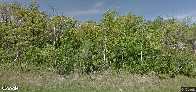 1370 Charleswood Road（加拿大曼尼托巴省温尼伯市）房屋照片